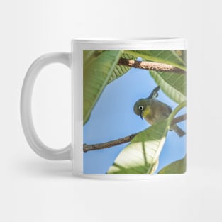 Japanese white-eye Honolulu Mug